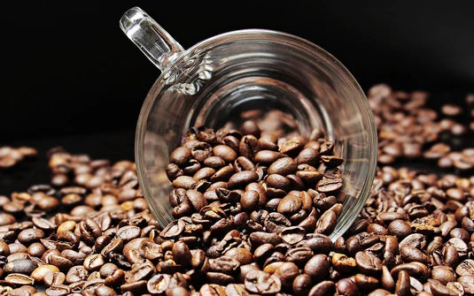 Coffee Cups