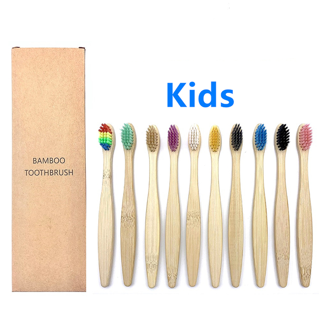 Toothbrushes Shirasawanum