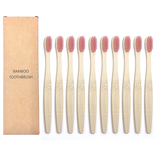 Toothbrushes Shirasawanum