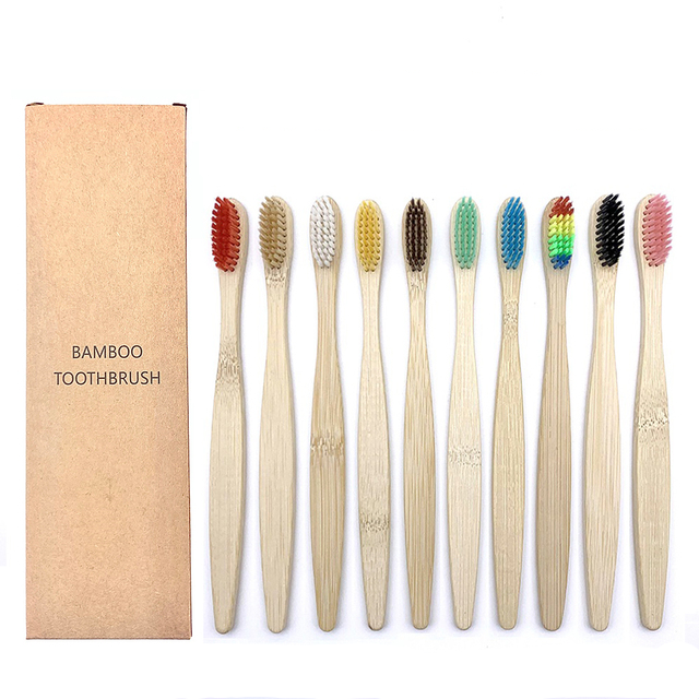 Toothbrushes Shirasawanum
