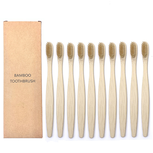 Toothbrushes Shirasawanum