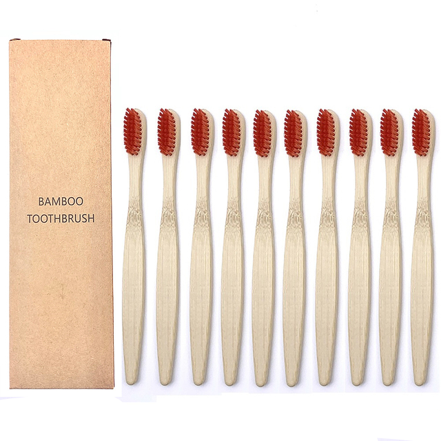 Toothbrushes Shirasawanum