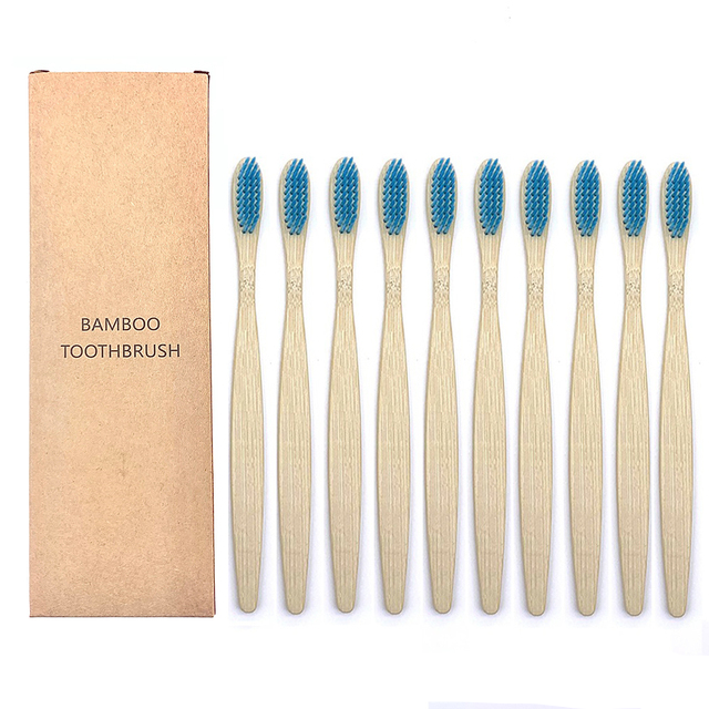 Toothbrushes Shirasawanum