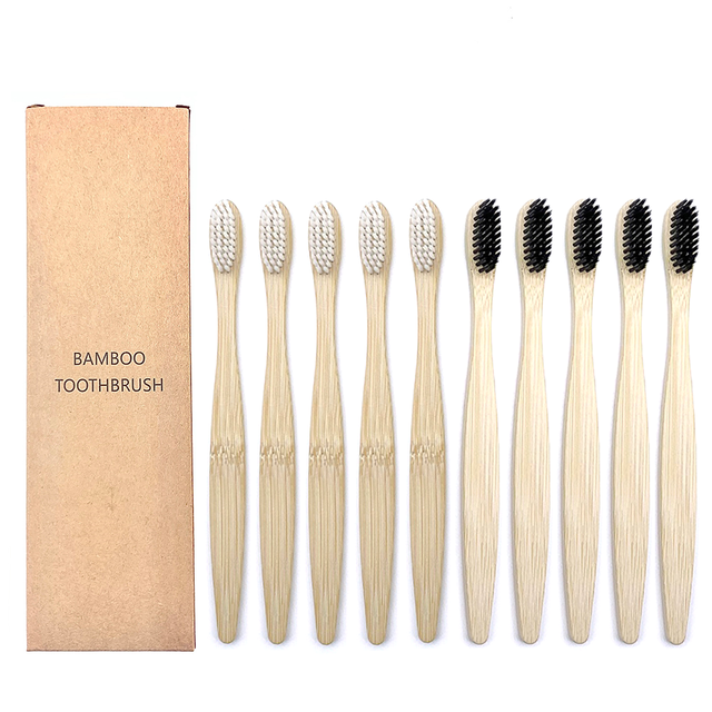 Toothbrushes Shirasawanum