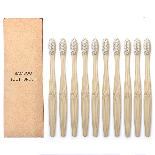 Toothbrushes Shirasawanum