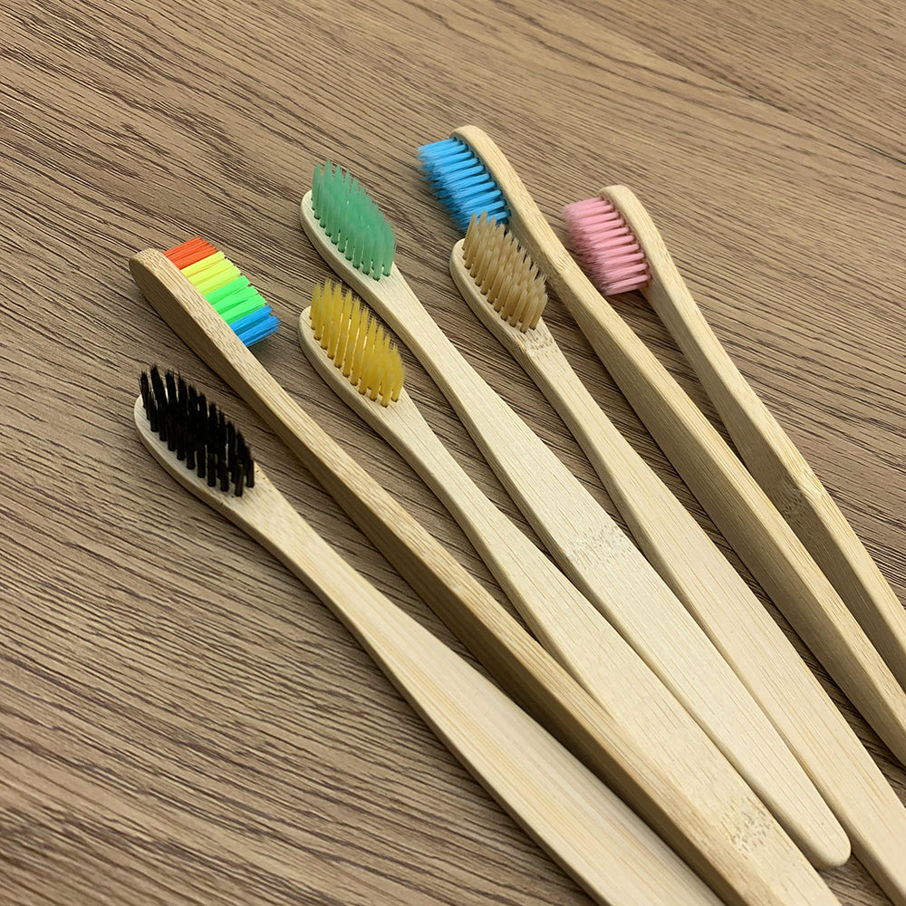 Toothbrushes Shirasawanum