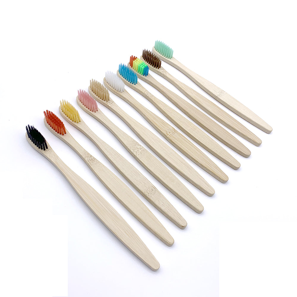 Toothbrushes Shirasawanum