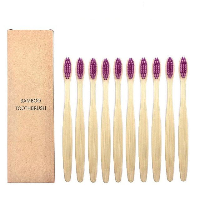Toothbrushes Shirasawanum