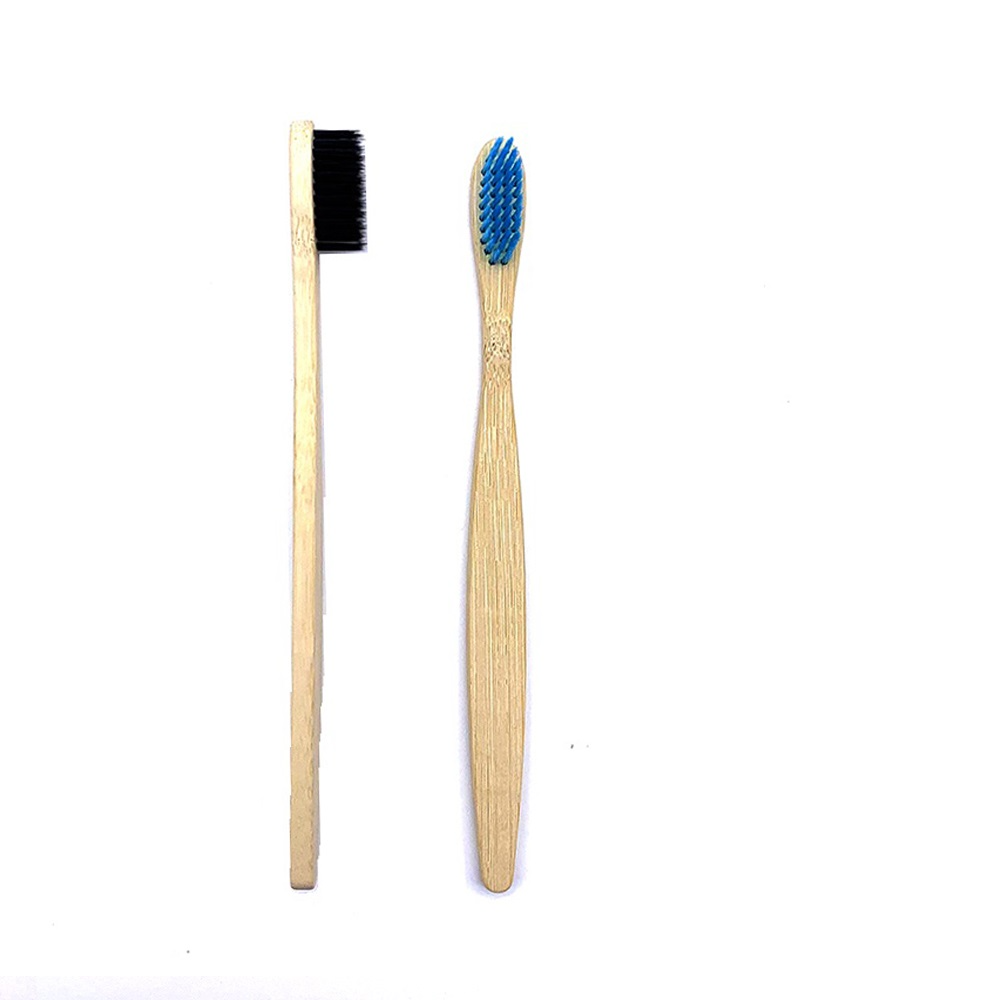 Toothbrushes Shirasawanum