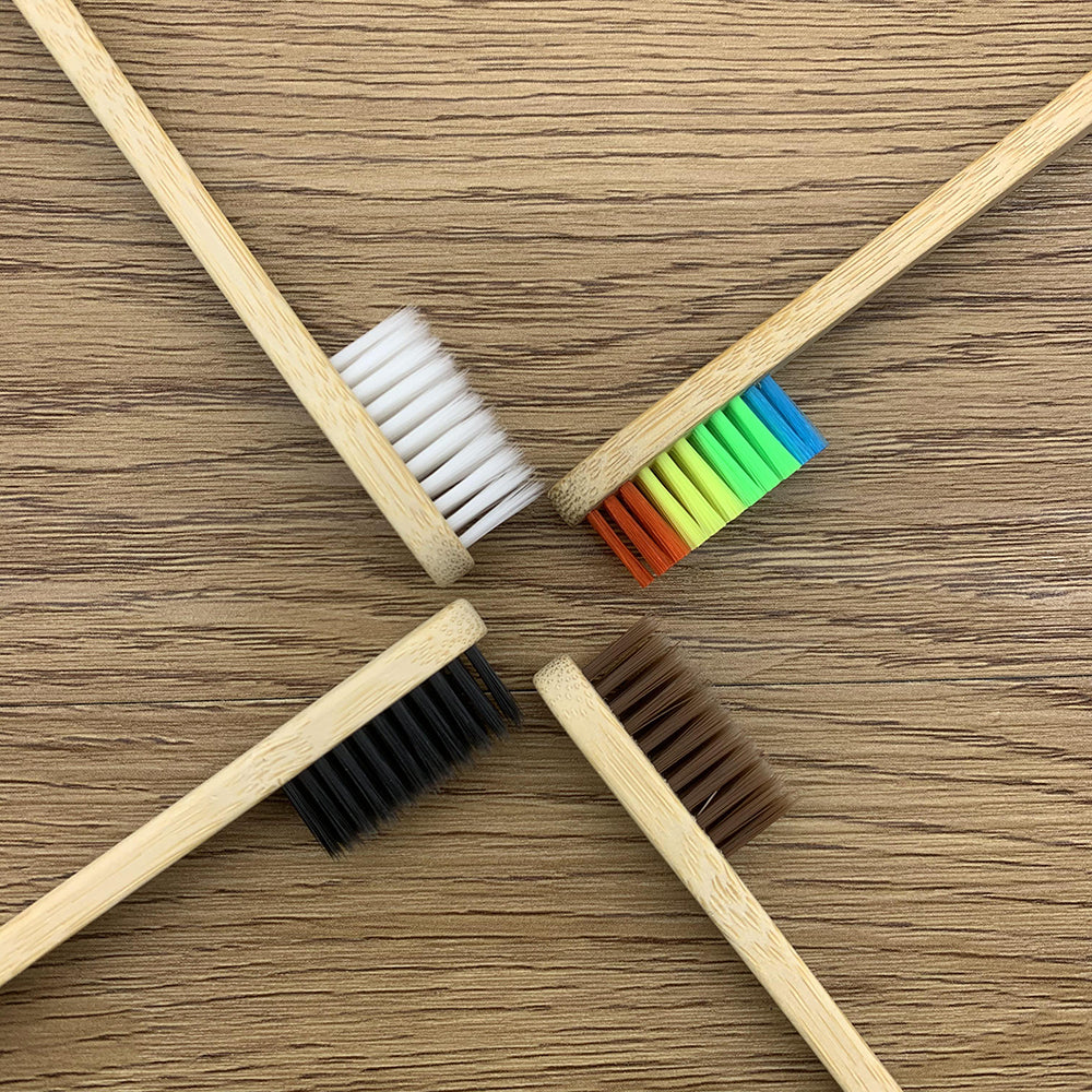 Toothbrushes Shirasawanum