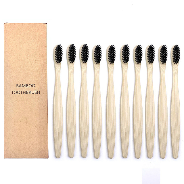 Toothbrushes Shirasawanum