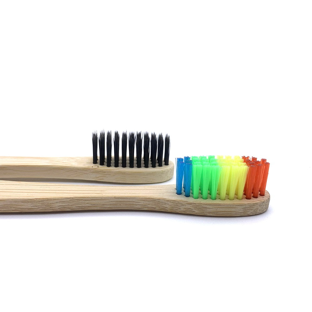 Toothbrushes Shirasawanum