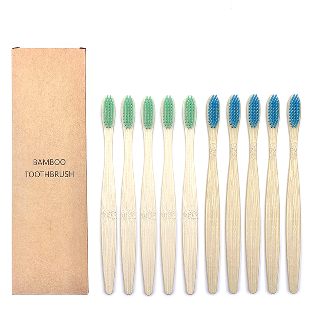 Toothbrushes Shirasawanum