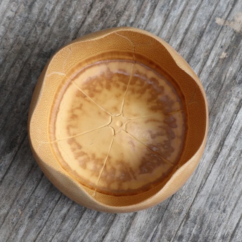 Bamboo Bowl Kanagawa