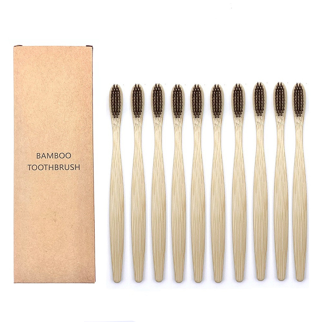 Toothbrushes Shirasawanum