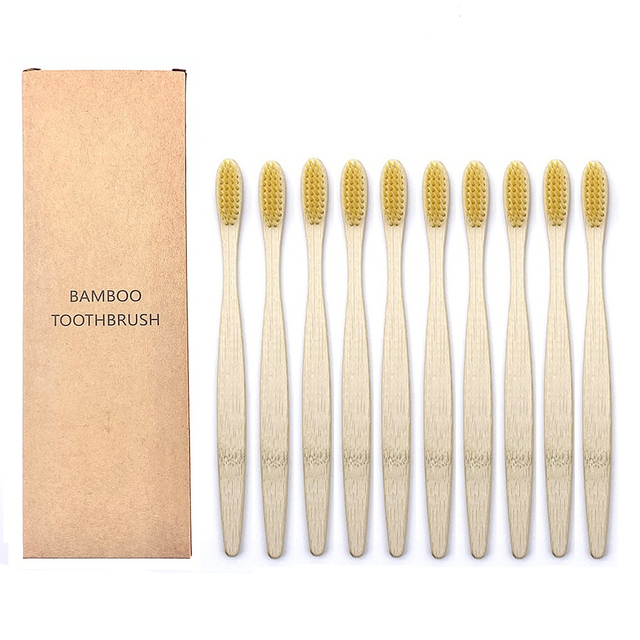 Toothbrushes Shirasawanum