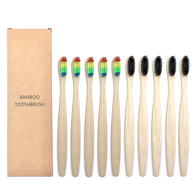 Toothbrushes Shirasawanum