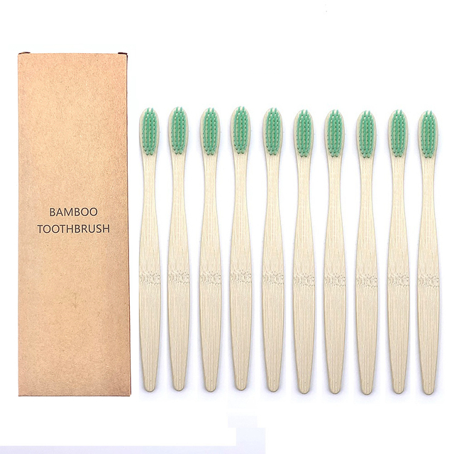 Toothbrushes Shirasawanum
