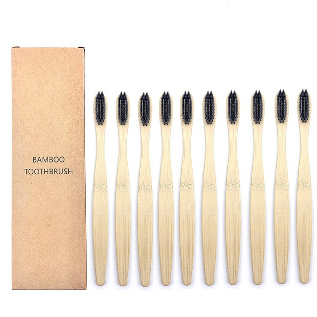 Toothbrushes Shirasawanum