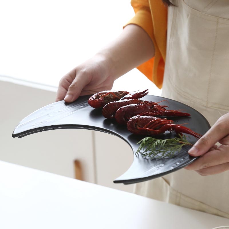 Sushi Plate Hibiva ( 2 colors)