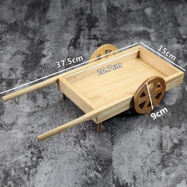 Car Sushi Plate Hiroshi