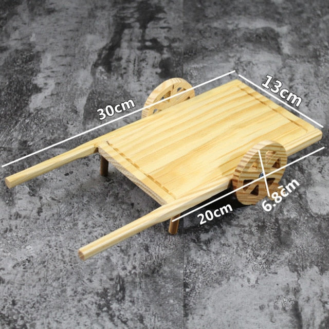 Car Sushi Plate Hiroshi