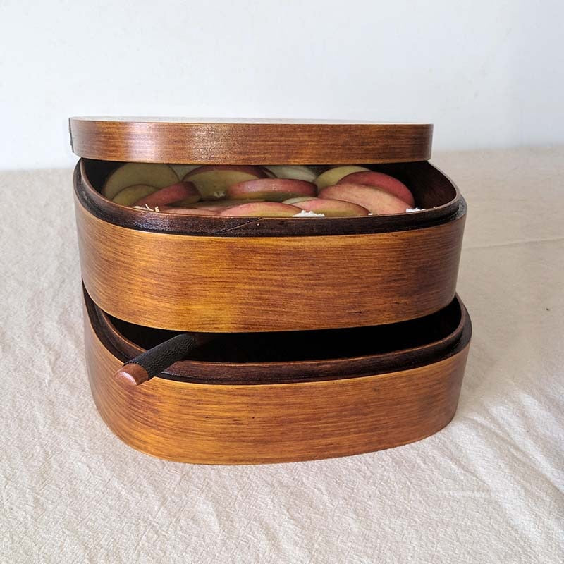 Bento Box Megumi