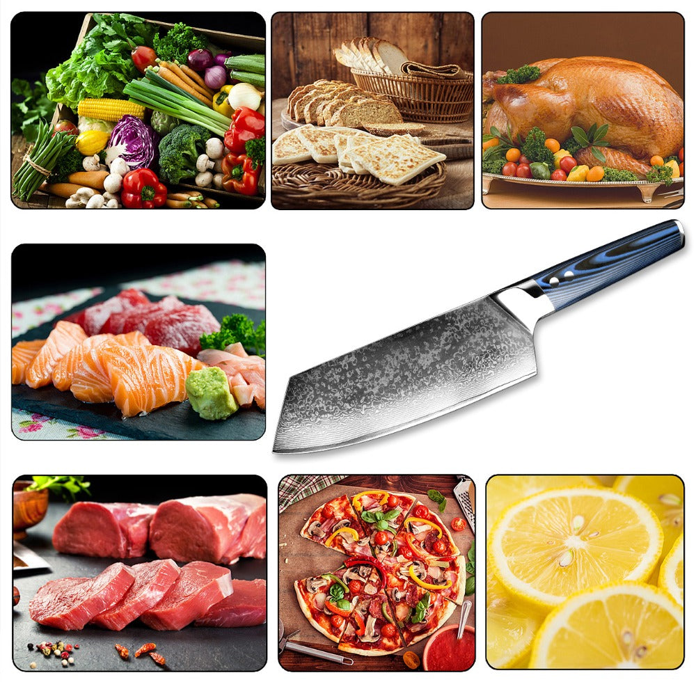 Damascus Knife Shiomi