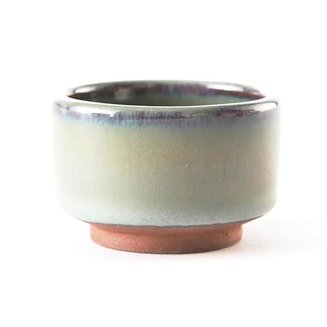 Teacup Higashine ( 9 colors)