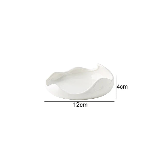 Creative Irregular Plate Hosi