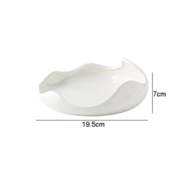 Creative Irregular Plate Hosi