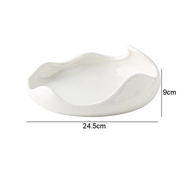 Creative Irregular Plate Hosi