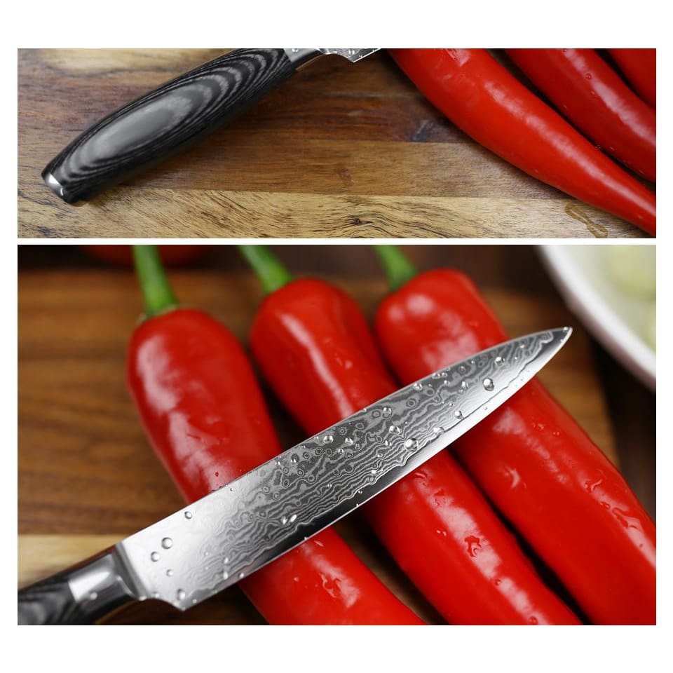 Damascus Knife Takami