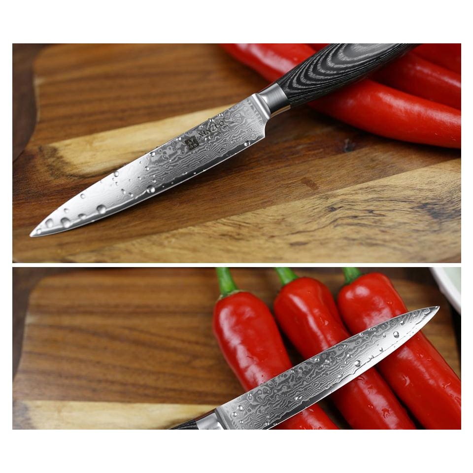Damascus Knife Takami
