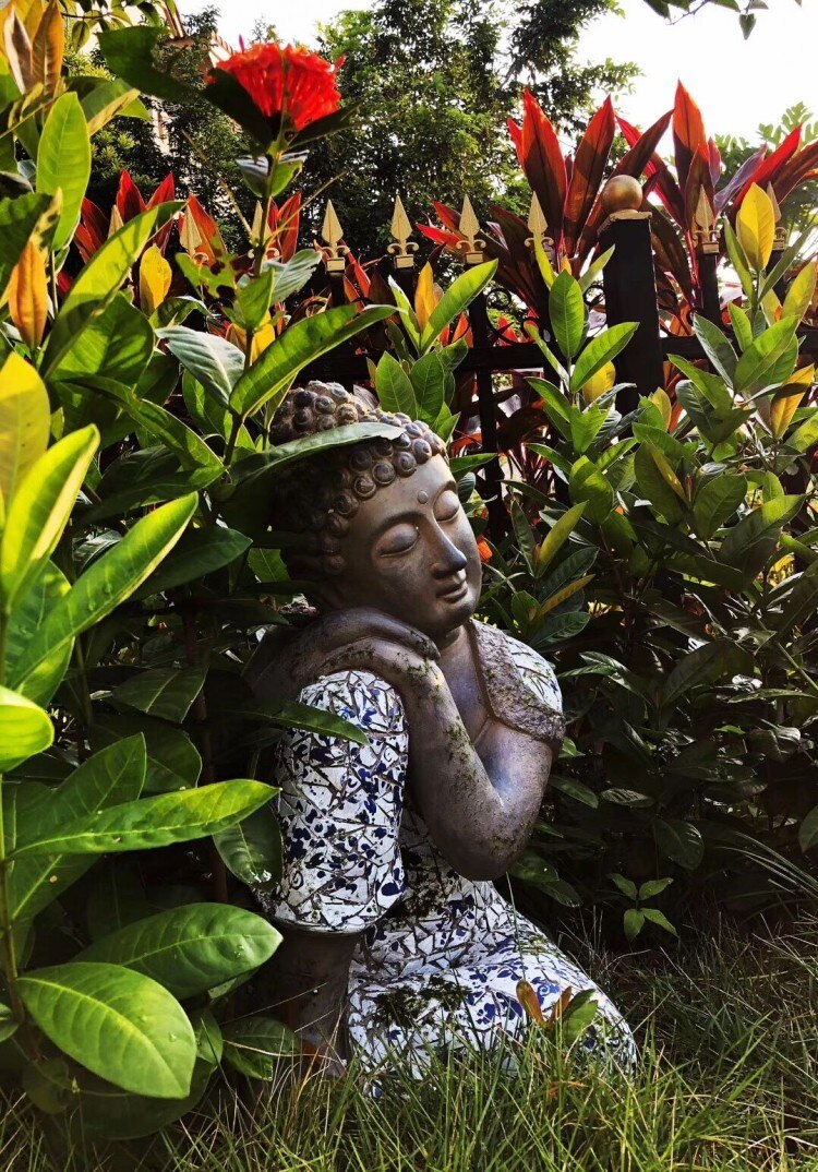 Buddha Statue Hanami