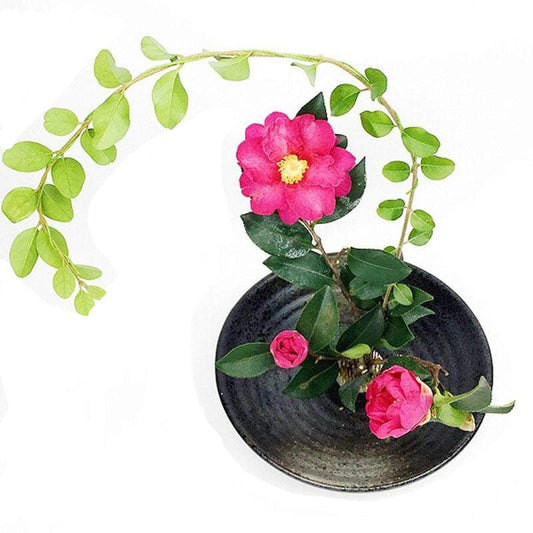 Vase Itsuki